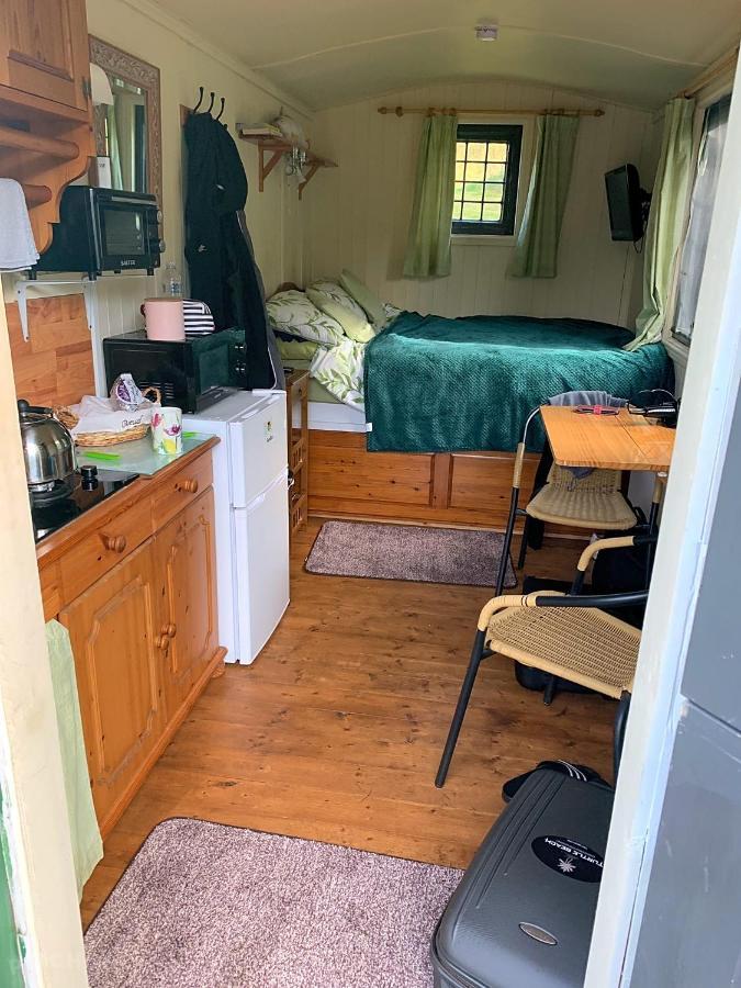 Snug & Secluded Lakeside Shepherds Hut 'Carp' Укфилд Экстерьер фото