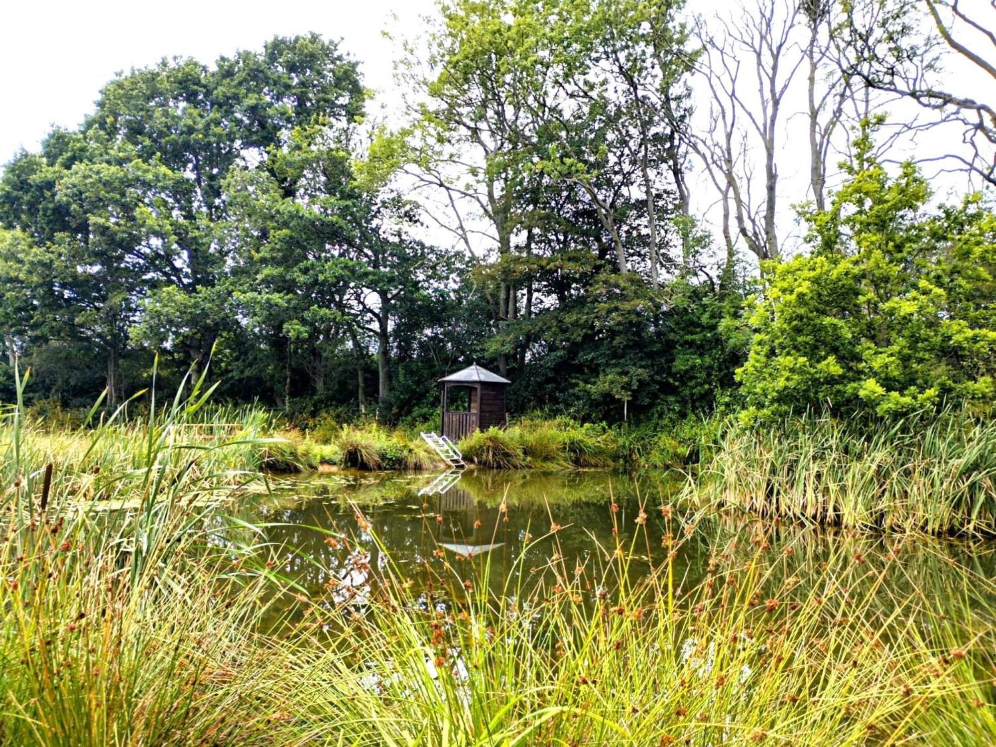 Snug & Secluded Lakeside Shepherds Hut 'Carp' Укфилд Экстерьер фото