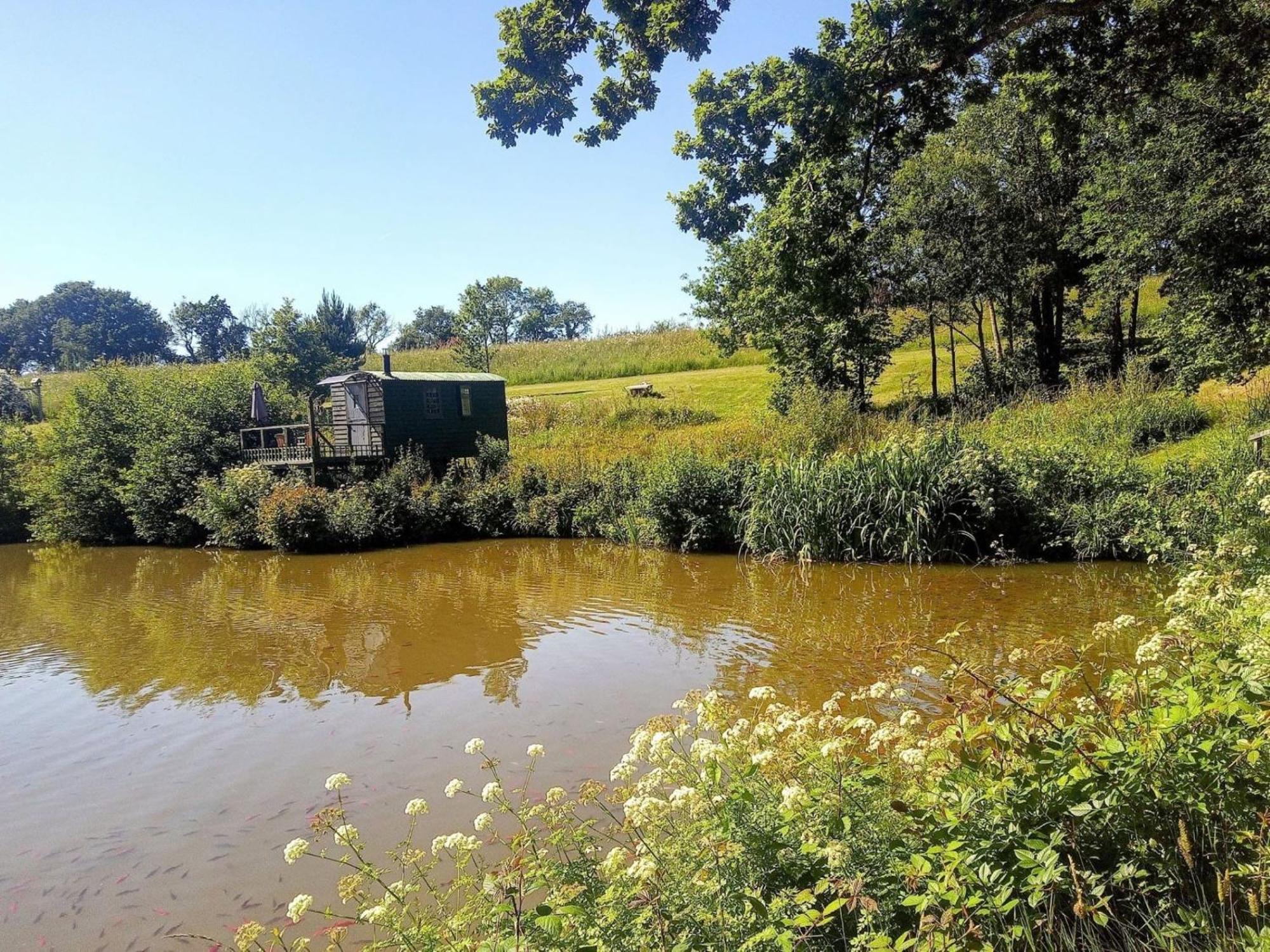 Snug & Secluded Lakeside Shepherds Hut 'Carp' Укфилд Экстерьер фото
